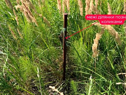 участок по адресу 