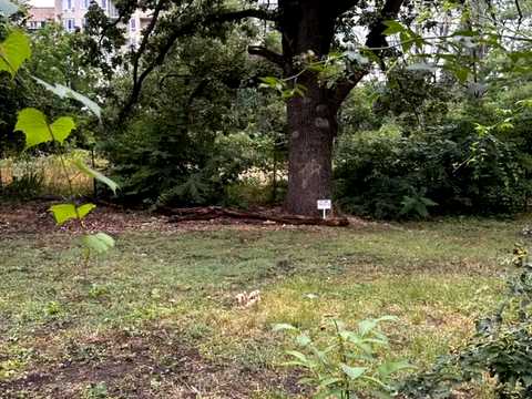 1873984782658720