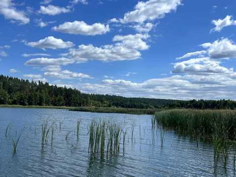 будинок за адресою Струмкова, 4