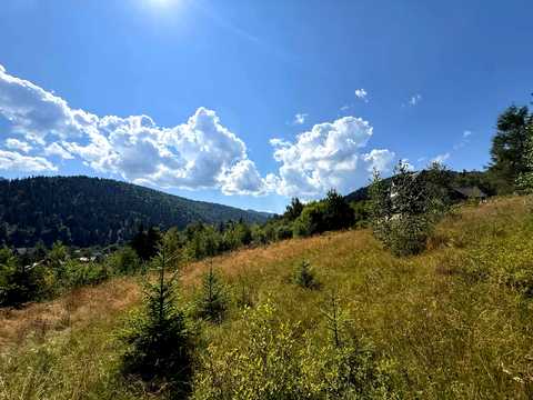 участок по адресу Олексы Довбуша ул. (Незалежності)