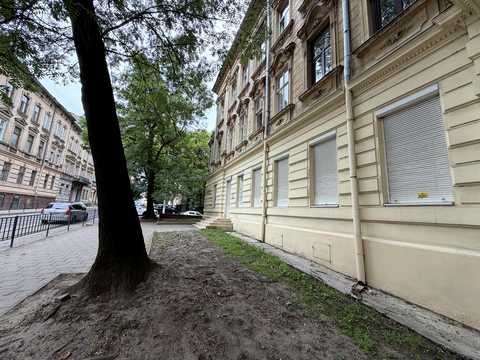 комерційна за адресою Львів, Генерала Чупринки вул. (Пушкіна), 7