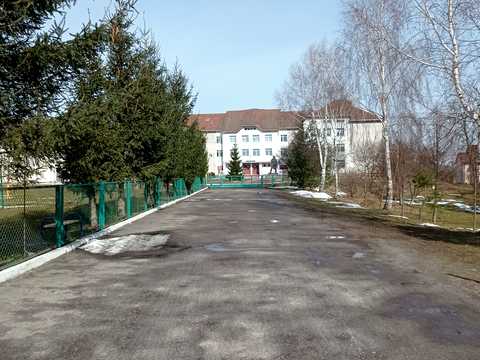 участок по адресу Миру