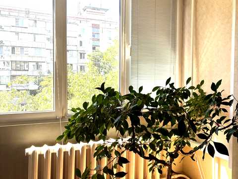 квартира по адресу Академика Булаховского ул., 28-Б