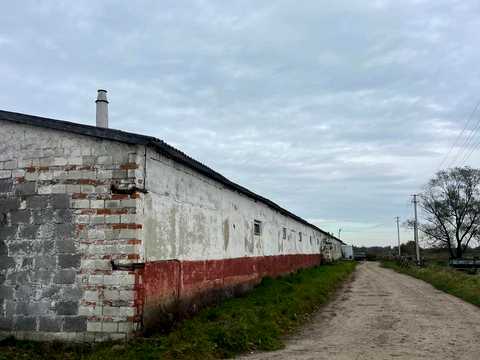 комерційна за адресою с. Липиці, Весела вул., 38