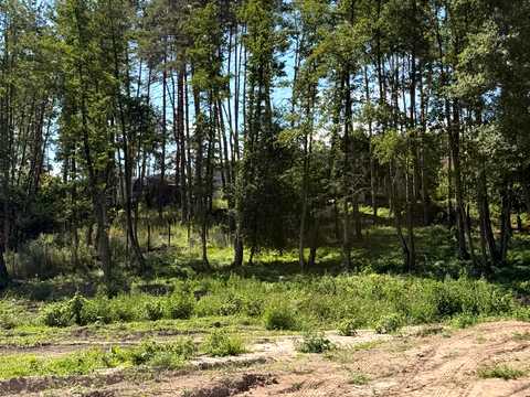 ділянка за адресою с. Ходосівка, 