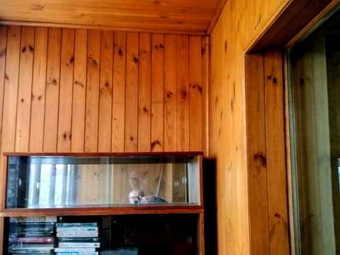 квартира по адресу Иорданская ул. (Лайоша Гавро), 11-Г