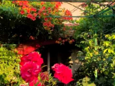 будинок за адресою с. Сухий Лиман, Вишневый сад кооп.