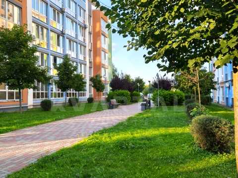 квартира за адресою Дмитра Павличка вул., 30