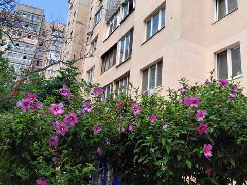 квартира за адресою Одеса, Віталія Блажка вул., 6