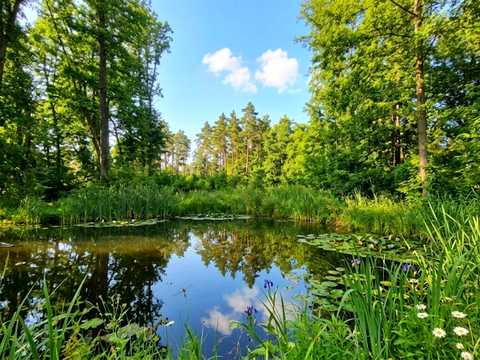 ділянка за адресою смт. Клавдієво-Тарасове,