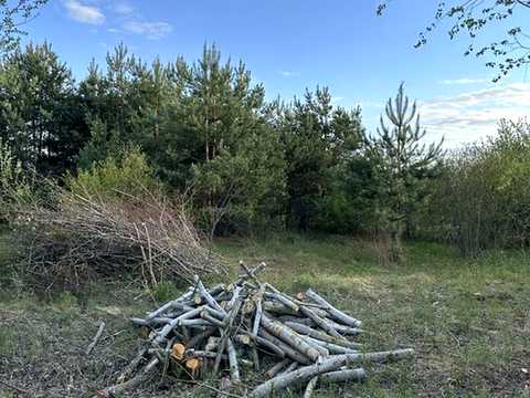 ділянка за адресою с. Бірки,