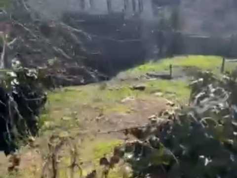 ділянка за адресою Одеса, Зелена Балка вул., 113