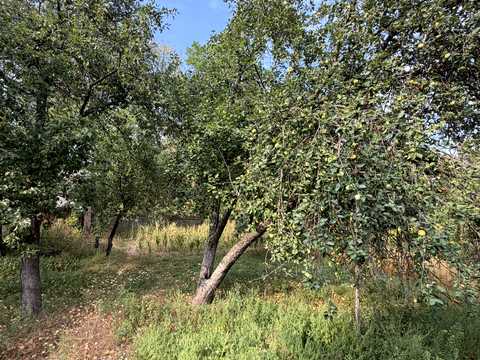 будинок за адресою с. Малі Кошарища, Зарічна, 1б