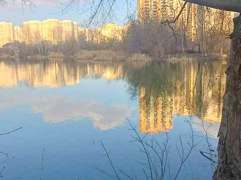квартира за адресою Урлівська вул., 38-А