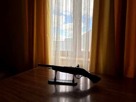 дом по адресу Квіткова