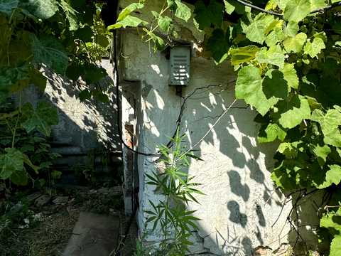 дом по адресу Богдановский пер., 14