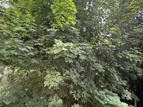 квартира за адресою Ярославів Вал вул., 17-Б
