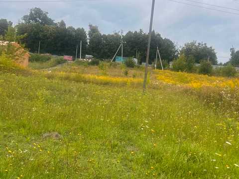 ділянка за адресою с. Якушинці, 