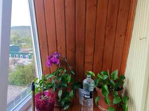 квартира за адресою Ужгород, Насипна вул., 3