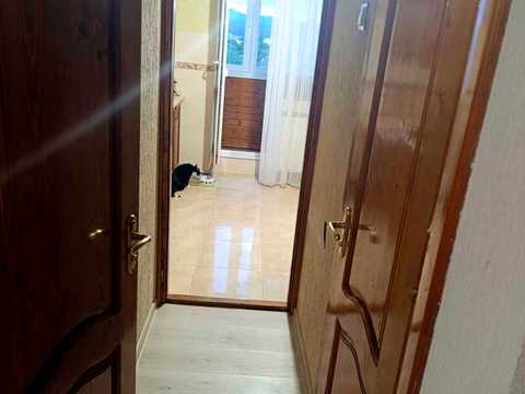 квартира за адресою Ужгород, Насипна вул., 3