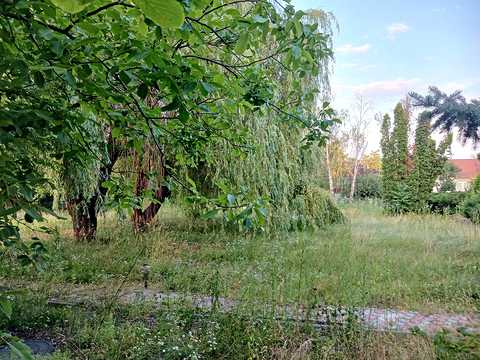 участок по адресу Независимости ул.