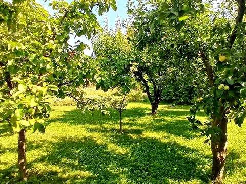 участок по адресу Независимости ул.