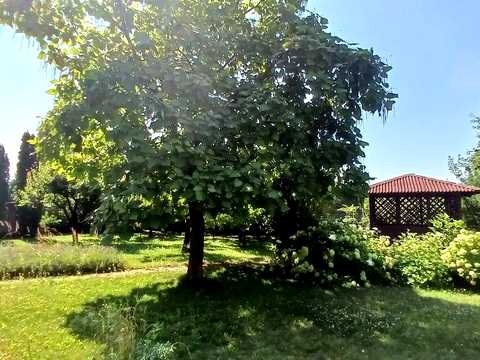 участок по адресу Независимости ул.