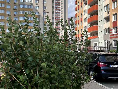 квартира по адресу Софии Русовой ул., 7-А