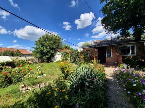 дом по адресу Новоолександровка, Набережна