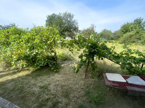 ділянка за адресою Карпатська