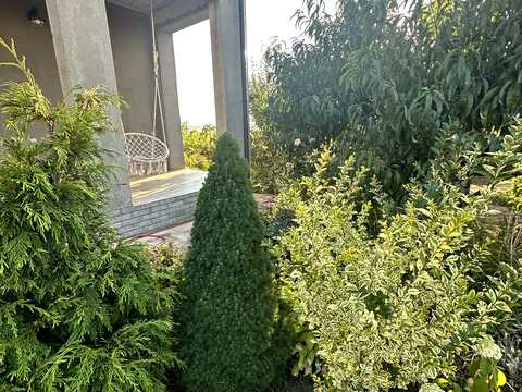будинок за адресою куяльницька