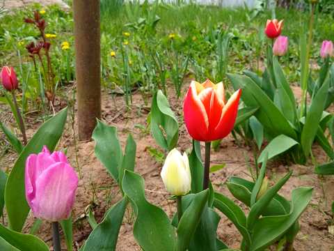 будинок за адресою Село Богданівка