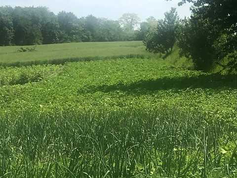 будинок за адресою Село Богданівка