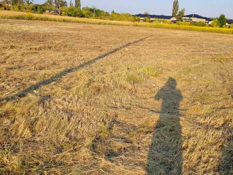 участок по адресу Центральна