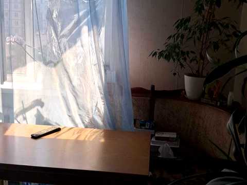 квартира за адресою смт. Коцюбинське, Пономарьова вул., 18-А