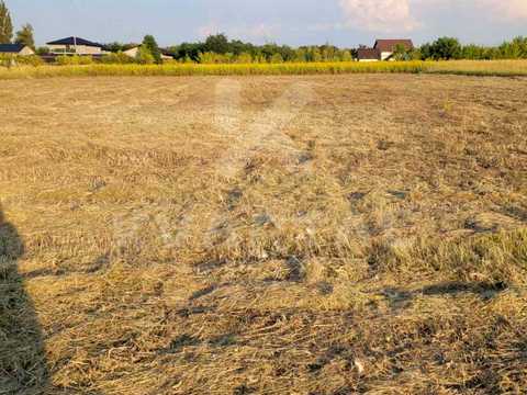 участок по адресу прорізна, 19