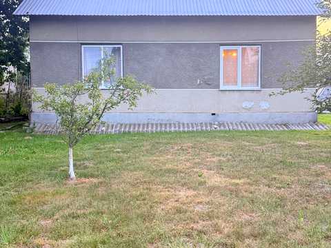 будинок за адресою Центральна, 2