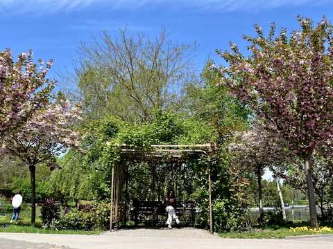 квартира за адресою Адміральський просп. (Патріса Лумумби), 1а