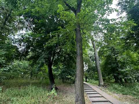 будинок за адресою Лесі Українки вул., 21А