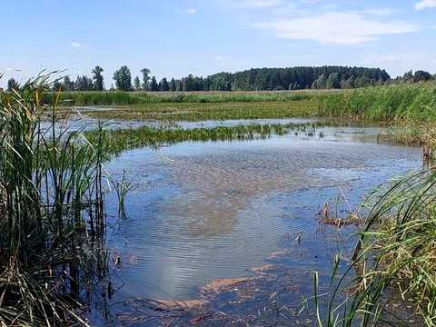 дом по адресу Лесі Українки