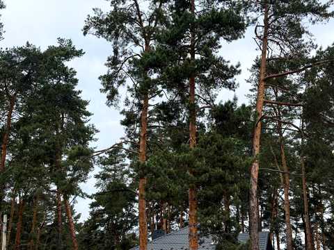 ділянка за адресою Кліматична вул.