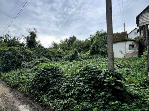 ділянка за адресою с. Промінь, 