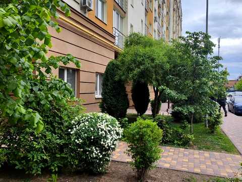 комерційна за адресою Лесі Українки вул., 62