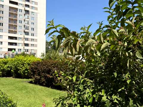 квартира за адресою Люстдорфська дорога вул. (Черноморская дорога), 55