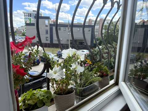 квартира за адресою Злуки просп., 8