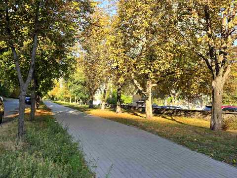 квартира за адресою Юлії Здановської вул. (Ломоносова), 29