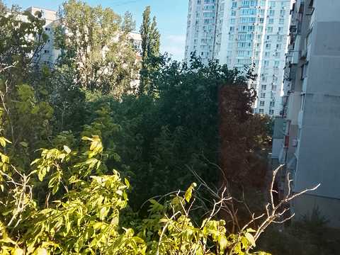 квартира по адресу Ильфа и Петрова ул. (Ільфа і Петрова), 10б