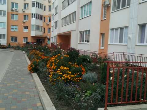 квартира по адресу Радужный массив ул., 23