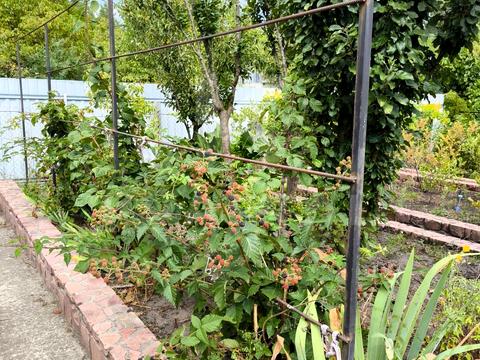 дом по адресу 8 лінія