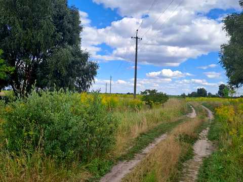 участок по адресу Київське шосе, 156/1
